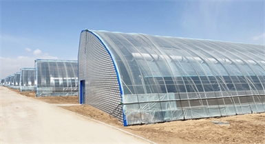 托克托縣高標準水蓄熱內保溫裝配式日光溫室示范基地順利通過驗收并正式投入運營